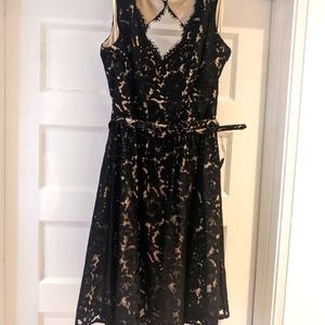 Eliza JBelted Lace Cocktail Dress